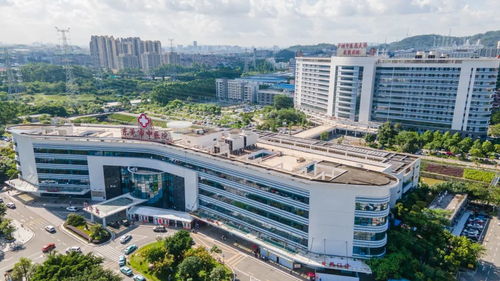 阳光热线 东莞全力打造 15分钟优质中医药服务圈