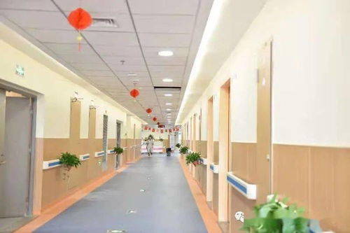 大展拳脚，市光前医院骨科独立开科开启新篇章