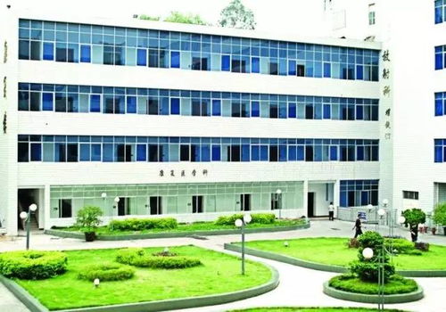 点亮生命之光，重塑健康人生——攀枝花康复医院阳光医院周年纪实